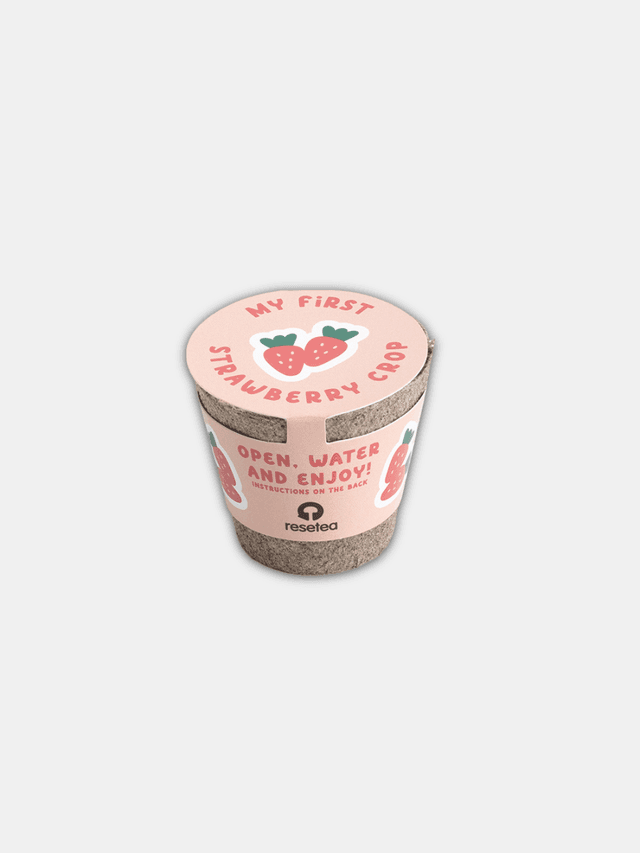 Κιτ κηπουρικής - My first strawberry crop