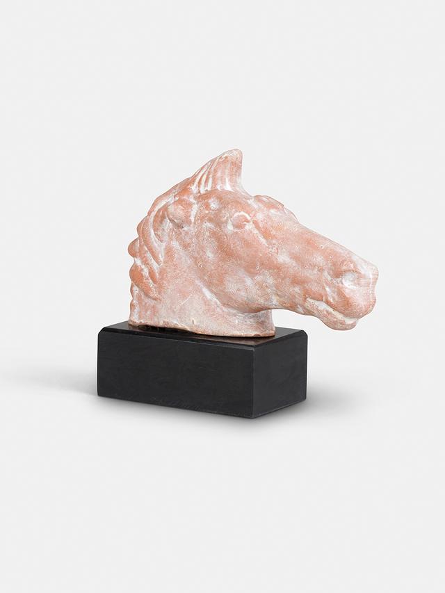 Horse's head