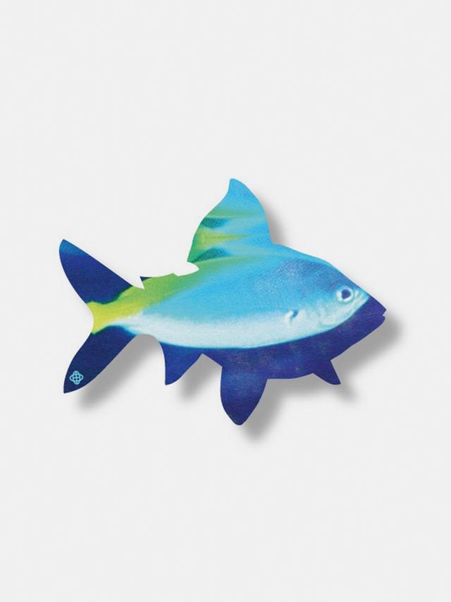 Wall decoration - Fish