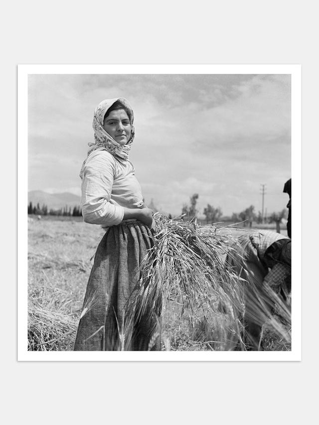 Έλλη Σουγιουλτζόγλου-Σεραϊδάρη (Nelly’s), Αγρότισσα με δεμάτι